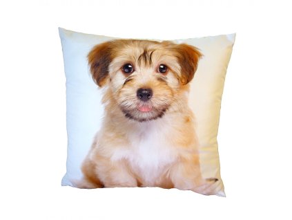 Fotopolstarek pro deti roztomily pejsek Dadka Vracov