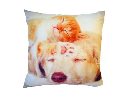 Fotopolstarek pro deti spici kocka se psem Dadka Vracov