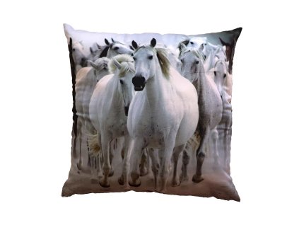 Fotopolstarek pro deti Stado Billych koni Dadka Vracov