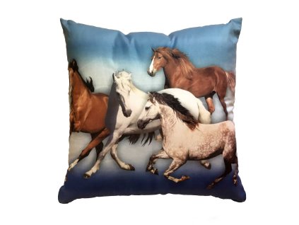 Fotopolstarek pro deti Stado koni Dadka Vracov