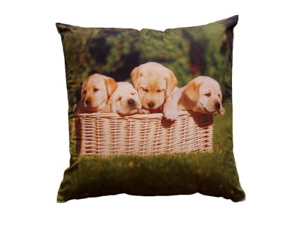 Fotopolstarek pro deti Stenata v kosiku Dadka Vracov