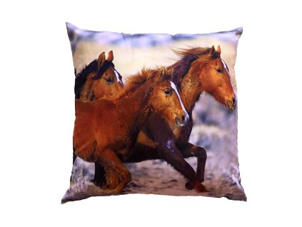 Fotopolstarek pro deti Tri kone Dadka Vracov