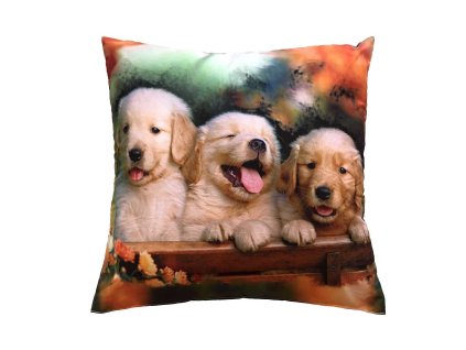 Fotopolstarek pro deti Tri stenata Dadka Vracov