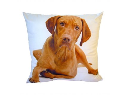 Fotopolstarek pro deti velky hnedy pes Dadka Vracov