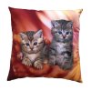 Fotopolstarek pro deti Kotata v ohni dadka Vracov
