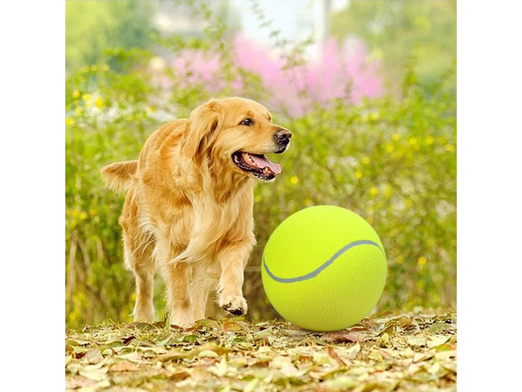 giant tennis ball maxi tenisak pro psy velky tenisovy balon kopacak nafukovaci tenisak pro pitbula kokrspanela balonek zlaty retrivr