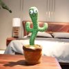 kaktus zpivajici zpiva hraje hrajici tanci tancici pro deti darek sranda original