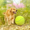 giant tennis ball maxi tenisak pro psy velky tenisovy balon kopacak nafukovaci tenisak pro pitbula kokrspanela balonek zlaty retrivr