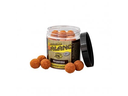 2g5b000101 1be0c1da129f92b099da96e6a6d96a39