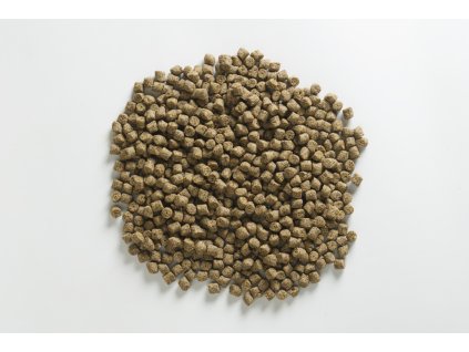 M RAPETRA1016 2.93840825.1616071517