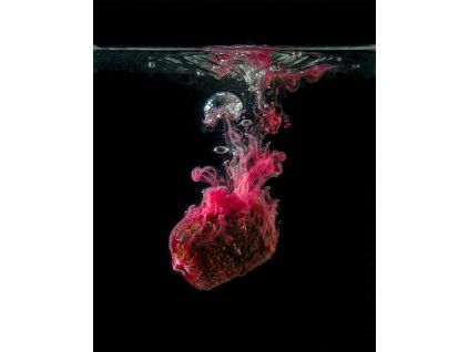 tb baits smoke liquid squid strawberry 100 ml (1)