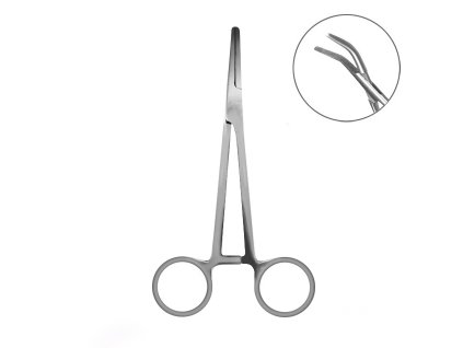 5407 pean zahnuty delphin base 18 cm