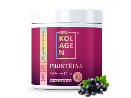 Kopie návrhu Kopie návrhu Bez názvu (2)