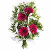 EBFE4084 F5CB 403C 9E58 93184ACFC78D