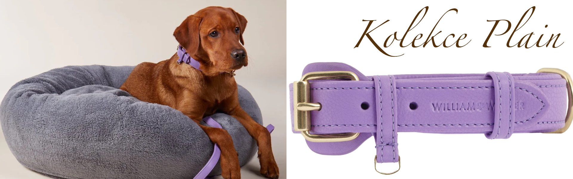 Kolekce William Walker