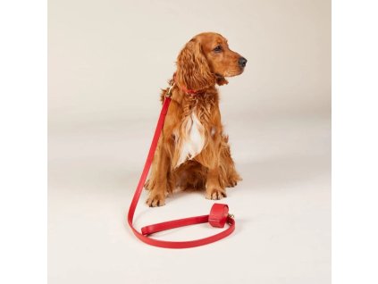 65 65 plain leash chili mood set 2