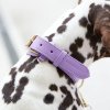 50 8 50 8 plain collar lavender mood sideview