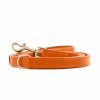 Plain Leash Amber Mood Leash