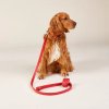 65 65 plain leash chili mood set 2