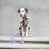 71 4 71 4 plain leash lavender mood set 3