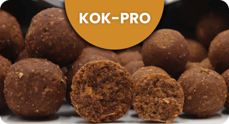 Banner top - kok pro