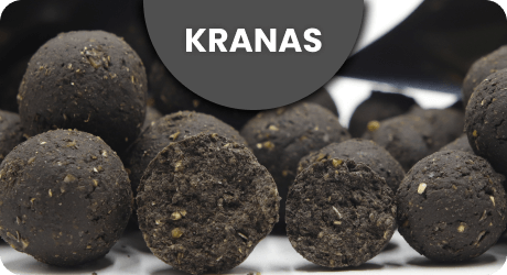 Banner top - kranas