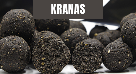Banner top - kranas