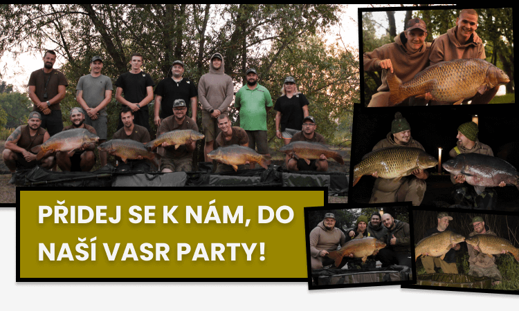 Carousel - vasr parta mobil