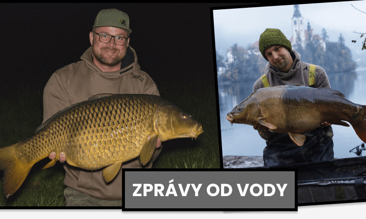 Carousel - Zprávy od vody mobil