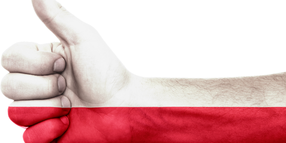 Polské maso – Kdo je u nás viníkem produkce špatného masa? A jaké je řešení, abyste věděli, co vlastně jíte? Čtěte.
