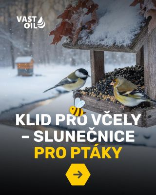 Když včely spí, začínají běhat ptáci… a občas to kolem česen dělá větší provoz, než je zdrávo. Takže jedna důležitá...