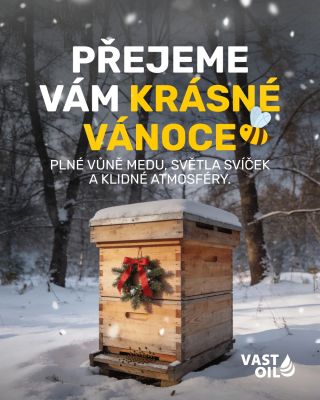 🎄✨🎁 #vastoil #vcela #med #vanoce