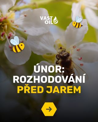 Únor není jen čekání na jaro. Je to měsíc rozhodnutí. Výsledky zimní měli dávají jasný signál, jak do sezóny vstoupit. Teď...