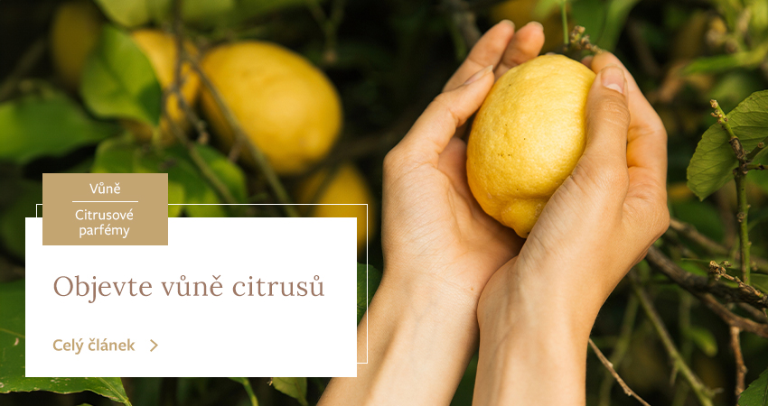 Citrusové parfémy: Kdy je nosit a jak účinkují