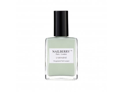 CF Nailberry Mint Fresh 15ml EAN 8715309908842 (FILEminimizer)