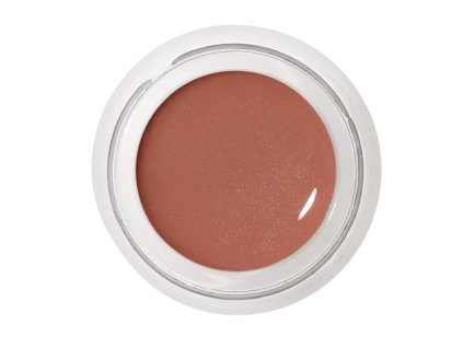 Lip Shine Honest 1