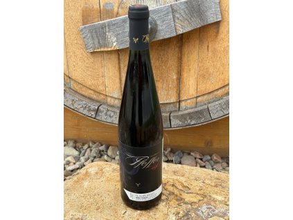 PFEFFER Blauburger VzH + sud