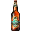 Radegast sklo Hutná 15 0,5l