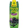 Happy Day Černý rybíz 1l