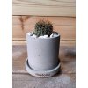 Betonový květináč se sukulentem