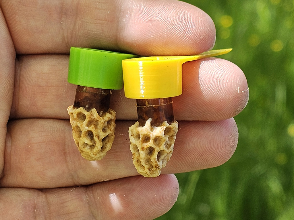 Jednoduchý chov včelích matek - metoda při matce