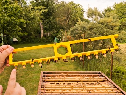 Chovný rámek - Chov včelích matek