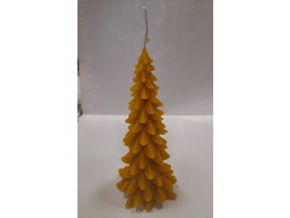 Svíčka stromeček velký výška