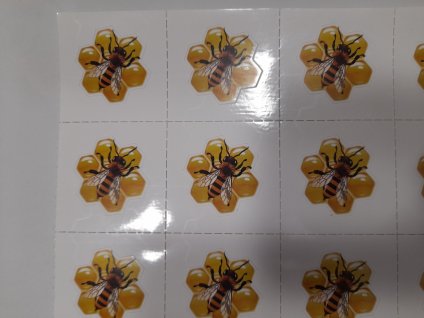 vyr 97920210316 080557