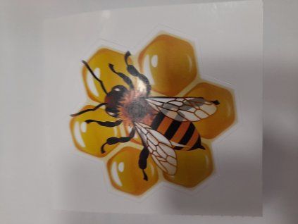 vyr 98020210316 080515