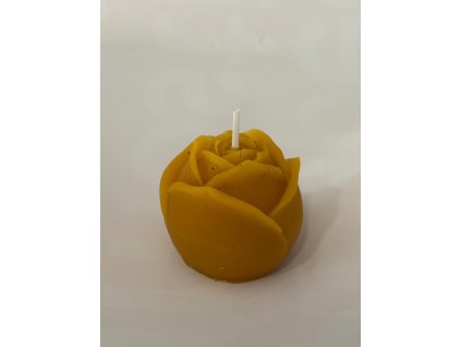 Obrázek WhatsApp, 2025 11 19 v 12.02.37 9cab4290