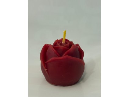 Obrázek WhatsApp, 2025 11 19 v 12.02.37 52df1a5d