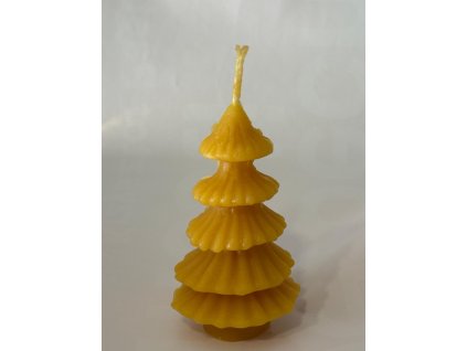 Obrázek WhatsApp, 2025 11 19 v 12.02.37 90afcb66