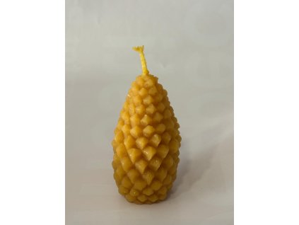 Obrázek WhatsApp, 2025 11 19 v 12.02.37 e1d417b4