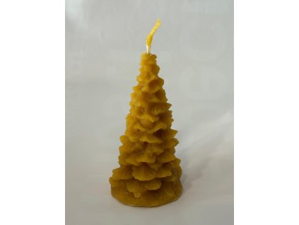 Obrázek WhatsApp, 2025 11 19 v 12.02.37 e9580b2d